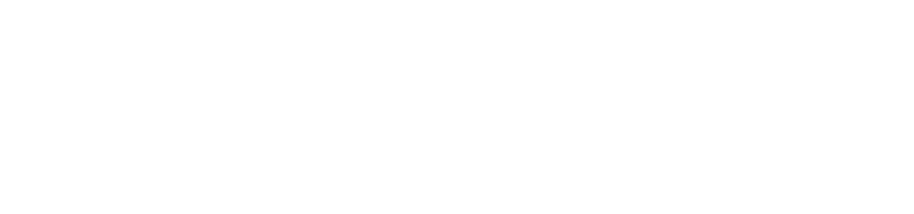 BusinessPoint- Full Business Solution logo